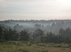 Уганда-Руанда