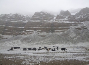 Тибет июнь 2015